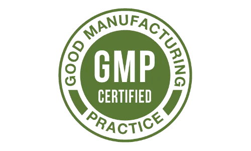 BrainSync GMP